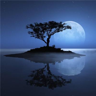 加拿大试玩软件