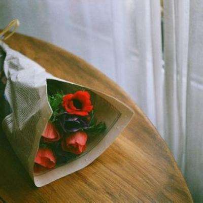 半岛登录平台网址